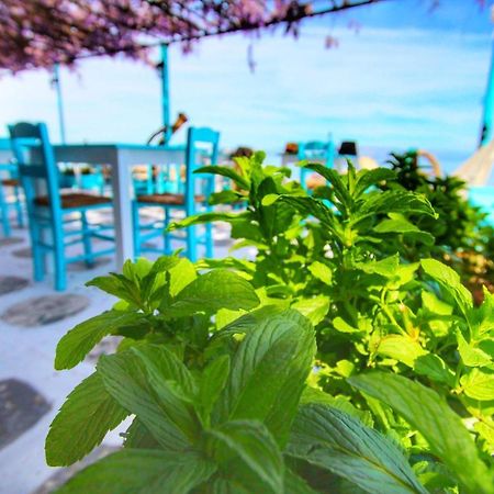 Benitsa Beach Hotel Αχίλλειο Εξωτερικό φωτογραφία
